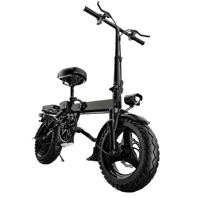 1000W High-Speed Electric Bike