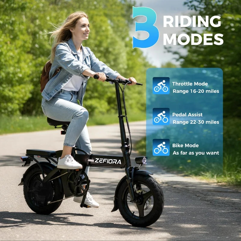 1000W High-Speed Electric Bike