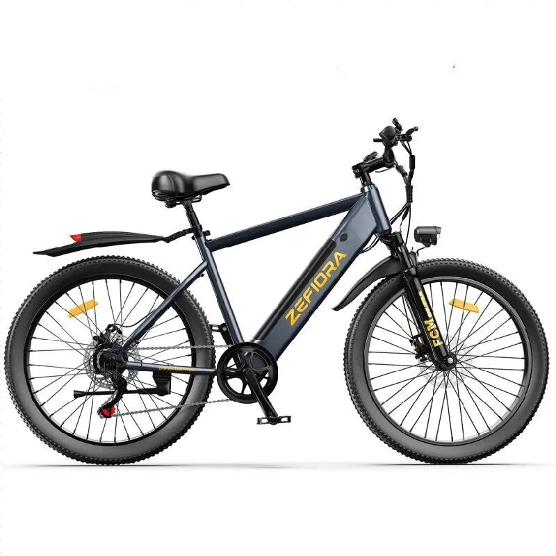 1000–2000W Long Range E-Bike