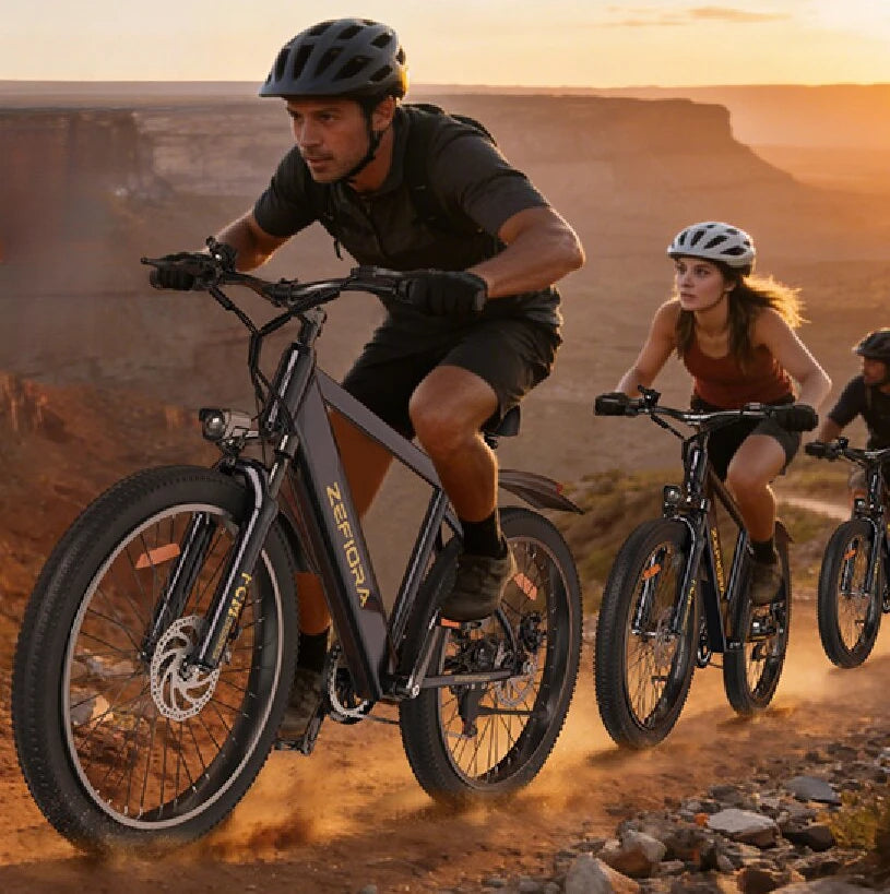1000W High-Speed Electric Bike