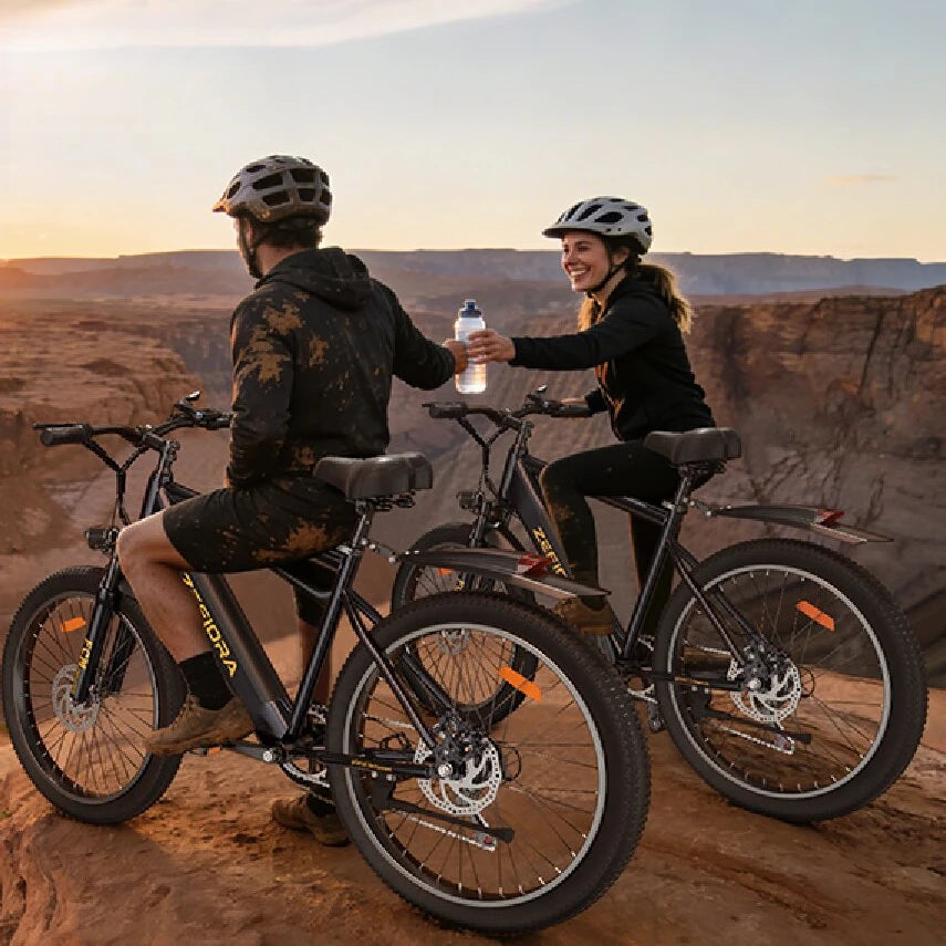 1000W Aluminum Electric Bike